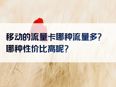 移动的流量卡哪种流量多？哪种性价比高呢？