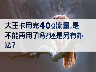 大王卡用完40g流量，是不能再用了吗？还是另有办法？