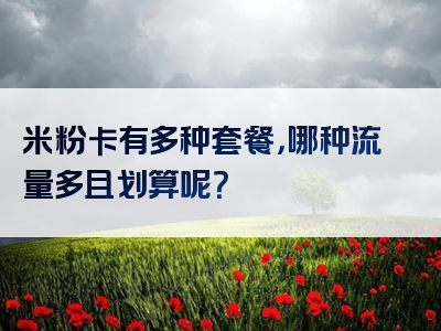 米粉卡有多种套餐，哪种流量多且划算呢？