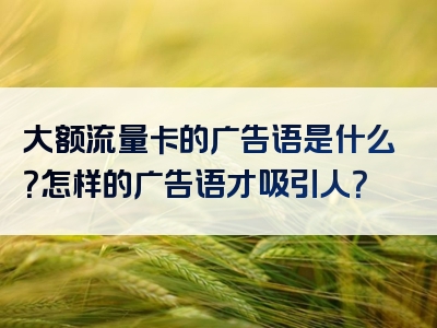 大额流量卡的广告语是什么？怎样的广告语才吸引人？