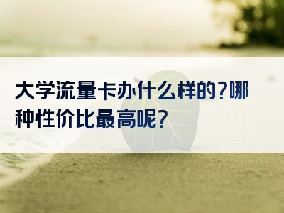 大学流量卡办什么样的？哪种性价比最高呢？