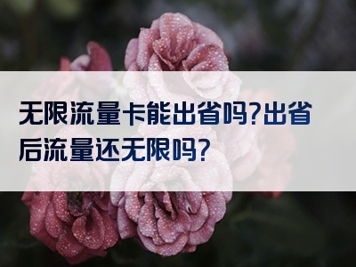 无限流量卡能出省吗？出省后流量还无限吗？