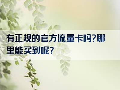 有正规的官方流量卡吗？哪里能买到呢？