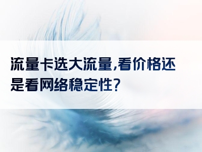 流量卡选大流量，看价格还是看网络稳定性？