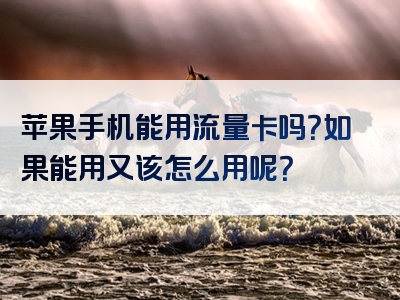 苹果手机能用流量卡吗？如果能用又该怎么用呢？