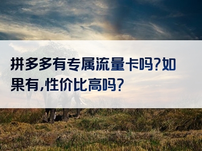 拼多多有专属流量卡吗？如果有，性价比高吗？