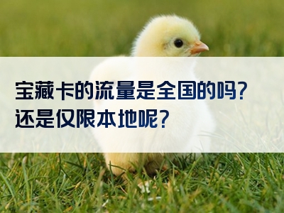 宝藏卡的流量是全国的吗？还是仅限本地呢？
