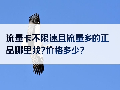 流量卡不限速且流量多的正品哪里找？价格多少？