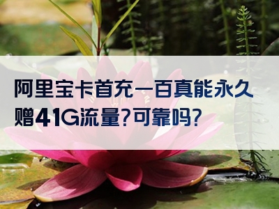 阿里宝卡首充一百真能永久赠41G流量？可靠吗？