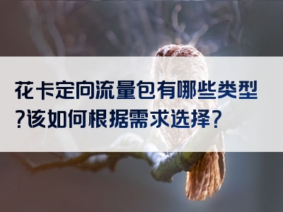 花卡定向流量包有哪些类型？该如何根据需求选择？