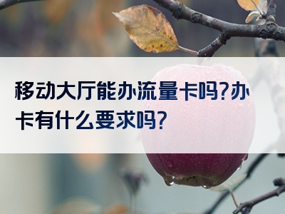 移动大厅能办流量卡吗？办卡有什么要求吗？