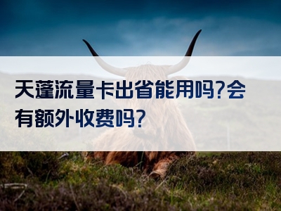天蓬流量卡出省能用吗？会有额外收费吗？