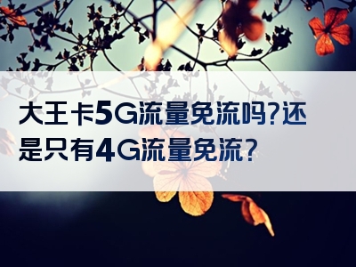 大王卡5G流量免流吗？还是只有4G流量免流？