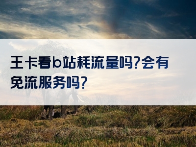 王卡看b站耗流量吗？会有免流服务吗？