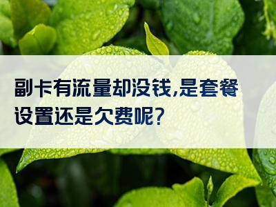 副卡有流量却没钱，是套餐设置还是欠费呢？