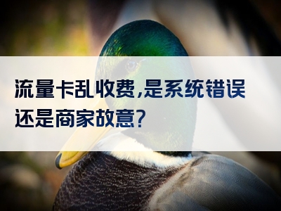 流量卡乱收费，是系统错误还是商家故意？