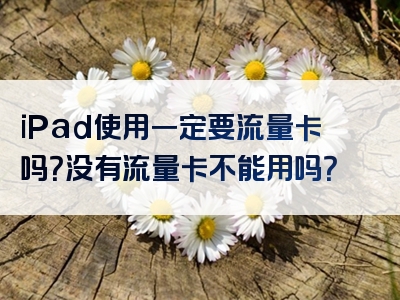 iPad使用一定要流量卡吗？没有流量卡不能用吗？