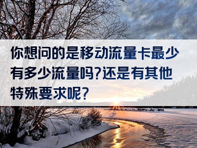 你想问的是移动流量卡最少有多少流量吗？还是有其他特殊要求呢？