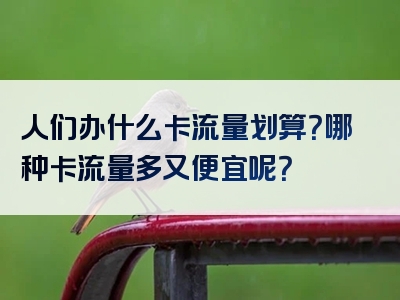 人们办什么卡流量划算？哪种卡流量多又便宜呢？
