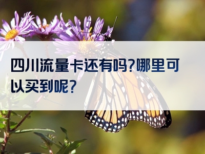 四川流量卡还有吗？哪里可以买到呢？