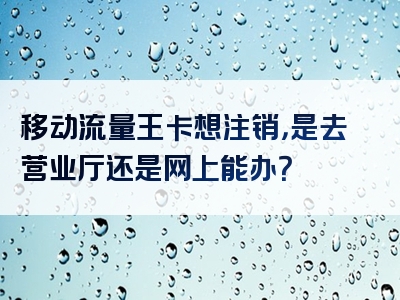 移动流量王卡想注销，是去营业厅还是网上能办？