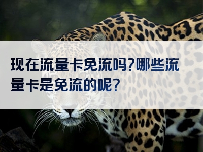 现在流量卡免流吗？哪些流量卡是免流的呢？