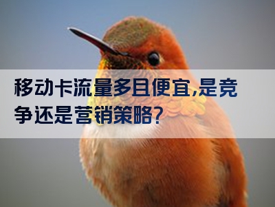 移动卡流量多且便宜，是竞争还是营销策略？