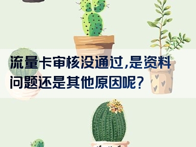 流量卡审核没通过，是资料问题还是其他原因呢？
