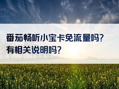 番茄畅听小宝卡免流量吗？有相关说明吗？