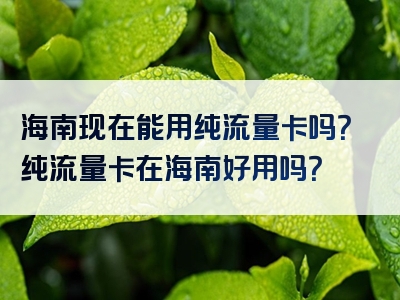 海南现在能用纯流量卡吗？纯流量卡在海南好用吗？