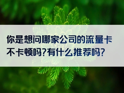 你是想问哪家公司的流量卡不卡顿吗？有什么推荐吗？