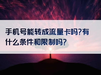 手机号能转成流量卡吗？有什么条件和限制吗？