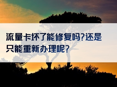 流量卡坏了能修复吗？还是只能重新办理呢？