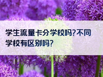 学生流量卡分学校吗？不同学校有区别吗？