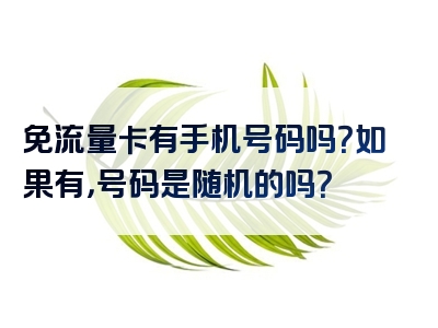 免流量卡有手机号码吗？如果有，号码是随机的吗？