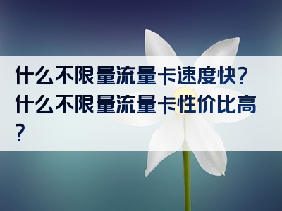 什么不限量流量卡速度快？什么不限量流量卡性价比高？