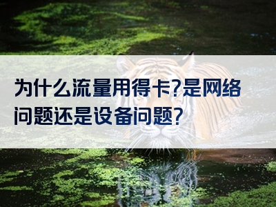 为什么流量用得卡？是网络问题还是设备问题？