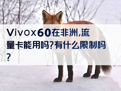 Vivox60在非洲，流量卡能用吗？有什么限制吗？
