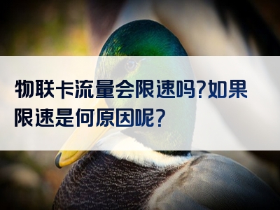 物联卡流量会限速吗？如果限速是何原因呢？