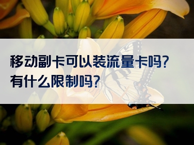 移动副卡可以装流量卡吗？有什么限制吗？