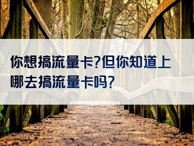 你想搞流量卡？但你知道上哪去搞流量卡吗？