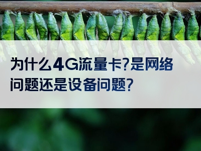 为什么4G流量卡？是网络问题还是设备问题？