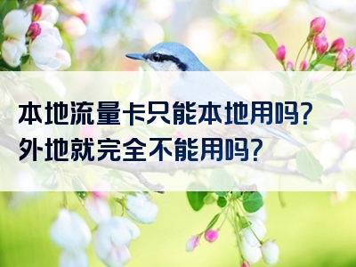 本地流量卡只能本地用吗？外地就完全不能用吗？
