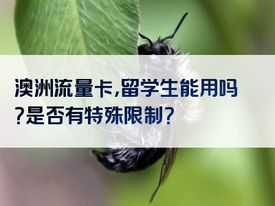 澳洲流量卡，留学生能用吗？是否有特殊限制？