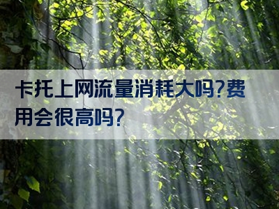 卡托上网流量消耗大吗？费用会很高吗？