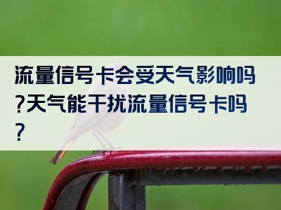 流量信号卡会受天气影响吗？天气能干扰流量信号卡吗？