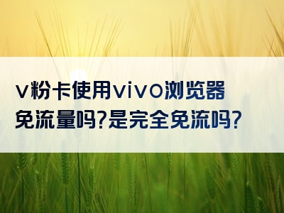 v粉卡使用vivo浏览器免流量吗？是完全免流吗？