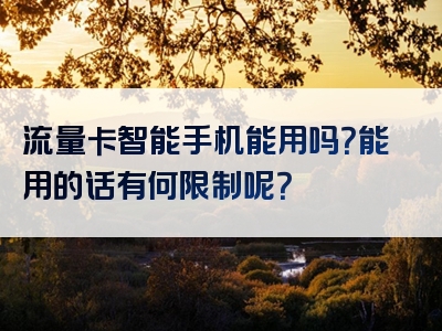 流量卡智能手机能用吗？能用的话有何限制呢？