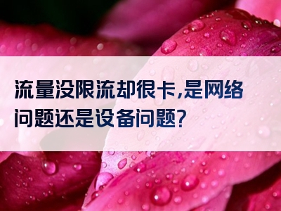 流量没限流却很卡，是网络问题还是设备问题？