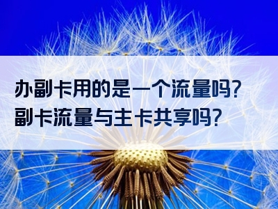 办副卡用的是一个流量吗？副卡流量与主卡共享吗？